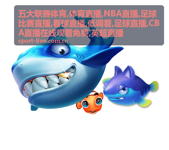 周日凌晨英超足球直播对决，英超直播
